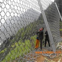 邊坡防護(hù)網(wǎng)施工費(fèi)用明細(xì) gps2型邊坡防護(hù)網(wǎng),邊坡防護(hù)網(wǎng)施工費(fèi)用明細(xì) gps2型邊坡防護(hù)網(wǎng)生產(chǎn)廠家,邊坡防護(hù)網(wǎng)施工費(fèi)用明細(xì) gps2型邊坡防護(hù)網(wǎng)價(jià)格